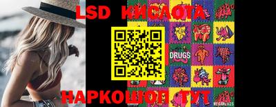 крисы Кунгур
