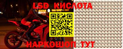 крисы Кунгур