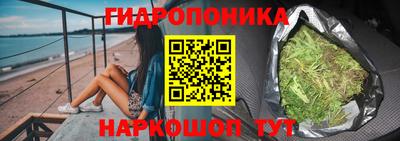 крисы Кунгур
