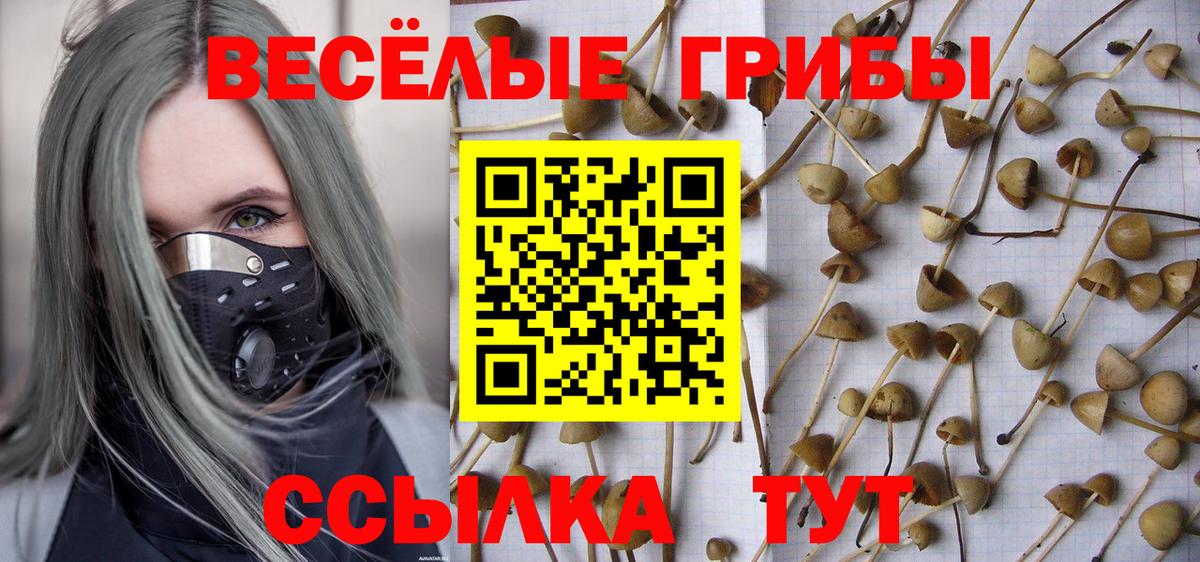 Псилоцибиновые грибы мухоморы Карталы
