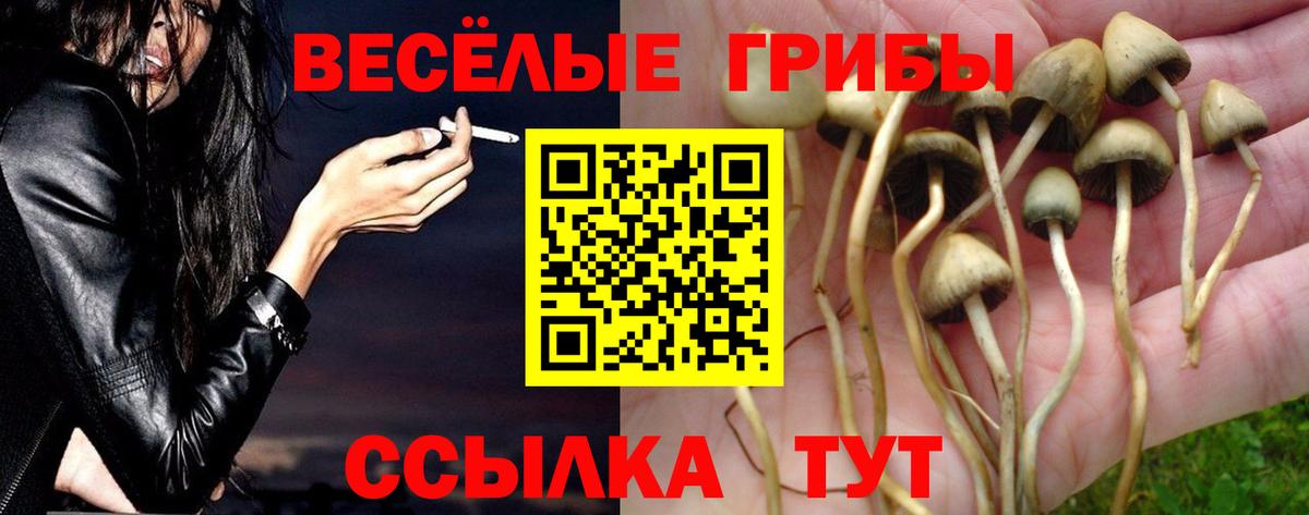 Псилоцибиновые грибы Magic Shrooms  наркота  Карталы  Вход с VPN 